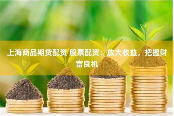 上海商品期货配资 股票配资：放大收益，把握财富良机