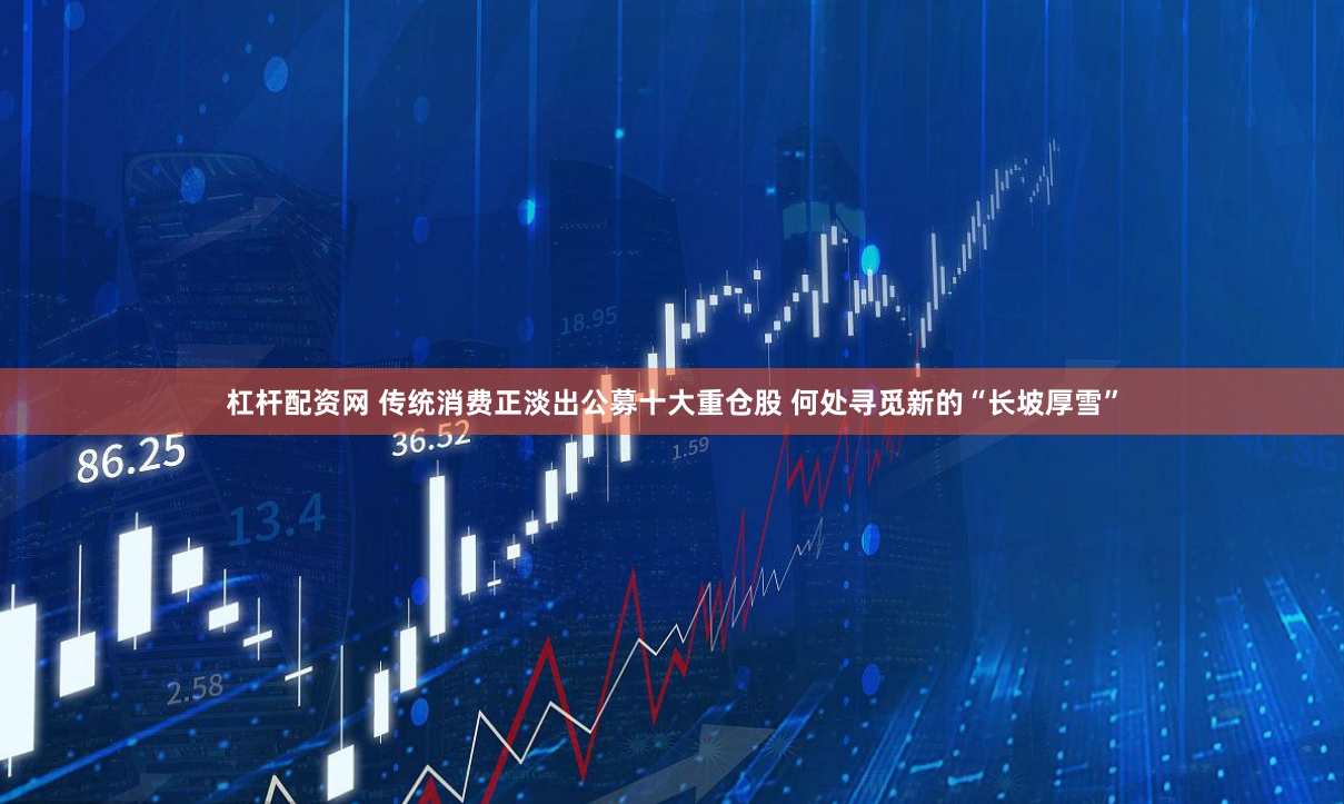 杠杆配资网 传统消费正淡出公募十大重仓股 何处寻觅新的“长坡厚雪”